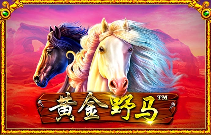 c7平台官方网站下载