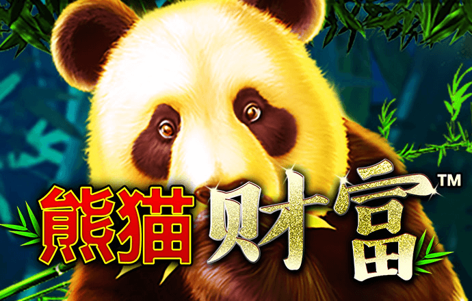 白菜官网彩金